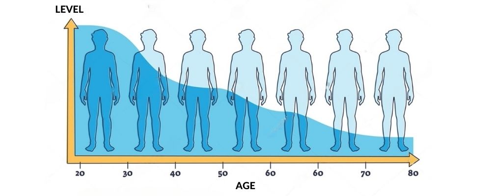 Testosterone chart